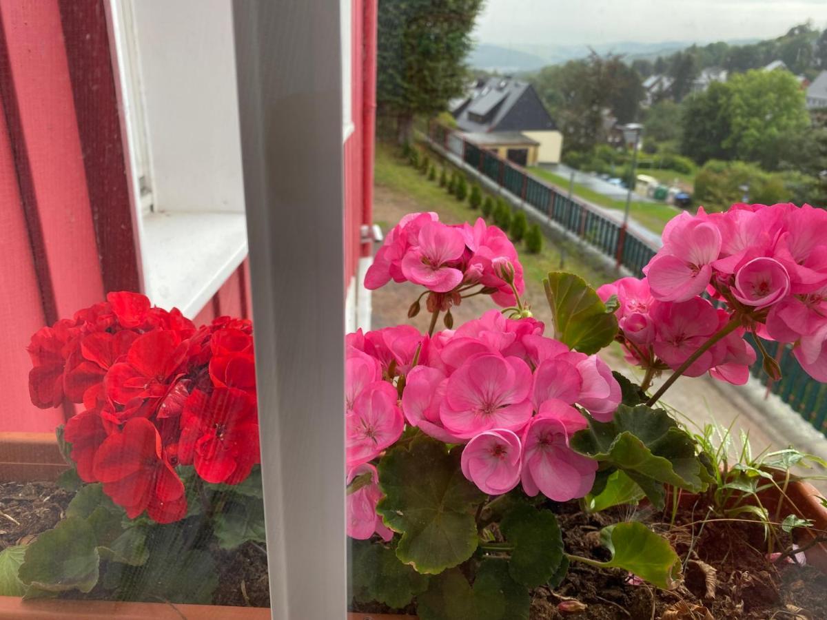 Hotel Haus Zur Pinge Altenberg  Esterno foto